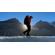Lowepro PhotoSport PRO 55L: Picture 16 thumbnail