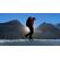 Lowepro PhotoSport PRO 55L: Picture 24 thumbnail