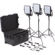 Litepanels Astra 6X Traveler Kit: Picture 2 thumbnail