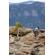 Lowepro PhotoSport BP 24L: Picture 39 thumbnail