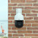 Lorex P11: Picture 4 thumbnail