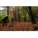 Manfrotto Ezybounce Bounce Card: Picture 4 thumbnail