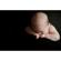 Lastolite Baby Posing Coat, One Size Fits All, Black: Picture 3 thumbnail