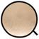 Lastolite LR4806 Circular Disc Reflector...: Picture 5 thumbnail