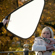 Lastolite 30" TriGrip Difflector Soft Gold: Picture 1 thumbnail