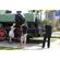 Lastolite 36"/90cm Hotrod Octa Elinchrom Quadra Kit: Picture 3 thumbnail