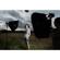Lastolite EzyBox II 102cm Octa Large Sof...: Picture 5 thumbnail