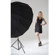Manfrotto Mega Umbrella: Video 1 thumbnail