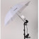 Flashpoint Lighting Kit with 2 Light Stands, 2 Umbrellas (33"), Socket, Bulbs & Case: Picture 2 thumbnail