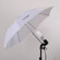 Flashpoint Lighting Kit with 2 Light Stands, 2 Umbrellas (33"), Socket, Bulbs & Case: Picture 4 thumbnail