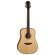 Luna Art Recorder Dreadnought: Picture 1 thumbnail