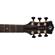 Luna Art Recorder Dreadnought: Picture 4 thumbnail