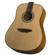 Luna Art Recorder Dreadnought: Picture 3 thumbnail