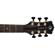 Luna Art Recorder Dreadnought: Picture 4 thumbnail