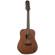 Luna Gypsy Dreadnought Guitar: Picture 1 thumbnail