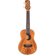 Luna Uke Concert: Picture 2 thumbnail