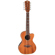 Luna Uke High Tide Tenor: Picture 1 thumbnail