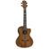 Luna Uke High Tide: Picture 1 thumbnail