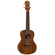 Luna Uke Maluhia Peace Concert: Picture 3 thumbnail