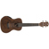 Luna Uke Maluhia Peace Concert: Picture 2 thumbnail
