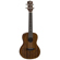 Luna Uke Lizard Concert: Picture 1 thumbnail