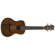 Luna Uke Lizard Concert: Picture 3 thumbnail