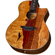 Luna Vista Eagle 12: Picture 4 thumbnail