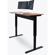 Luxor Pneumatic Standing Desk: Picture 1 thumbnail