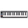 M-Audio Keystation Mini 32 Ultra-Portable 32-Note Keyboard Controller: Picture 2 thumbnail