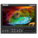 Marshall Electronics 7" On Camera Monitor with Composite and Component Inputs with Canon Battery Mount: Picture 1 thumbnail