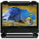 Marshall Electronics OR-901-3GSDI ORCHID 9" LCD Field Monitor with 3D Anaglyph Monitoring: Picture 1 thumbnail