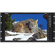Marshall Electronics 17" Modular Design Monitor, 1920x1200 Resolution, 600:1 Contrast Ratio, 400 cd/m2 Brightness: Picture 2 thumbnail