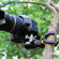 Mobile-Catch King-of-Kings: Picture 2 thumbnail