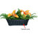 Mini Gadgets Decorative Fern: Picture 1 thumbnail