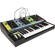 Moog Grandmother: Picture 4 thumbnail