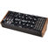 Moog Subharmonicon: Picture 4 thumbnail