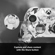 Microsoft Xbox Controller: Picture 2 thumbnail