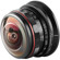 Meike 3.5mm f/2.8: Picture 2 thumbnail