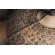 Meinl Bacon: Picture 5 thumbnail