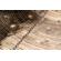 Meinl Bacon: Picture 11 thumbnail