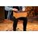 Meinl Bongo Cajon, Super Natural 