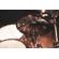 Meinl Classics Custom Dark: Picture 7 thumbnail