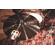 Meinl Classics Custom Dark: Picture 7 thumbnail