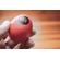 Meinl Egg Shaker Set: Picture 7 thumbnail