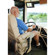 Mac Locks Flex Arm with Metal Executive iPad Enclosure for iPad 1/2/3/4, Black: Picture 2 thumbnail