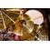 Meinl HCS Splash Cymbal, Traditional Fin...: Picture 7 thumbnail