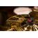 Meinl HCS Cymbal: Picture 3 thumbnail