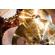 Meinl HCS Cymbal: Picture 7 thumbnail