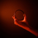 Moment Cinebloom 0.6-1.5 2-5 Stop Variab...: Picture 18 thumbnail