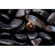 Mod Copper Cap Saver: Picture 1 thumbnail